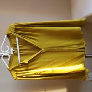 Babaton Silk Shirt in Mustard